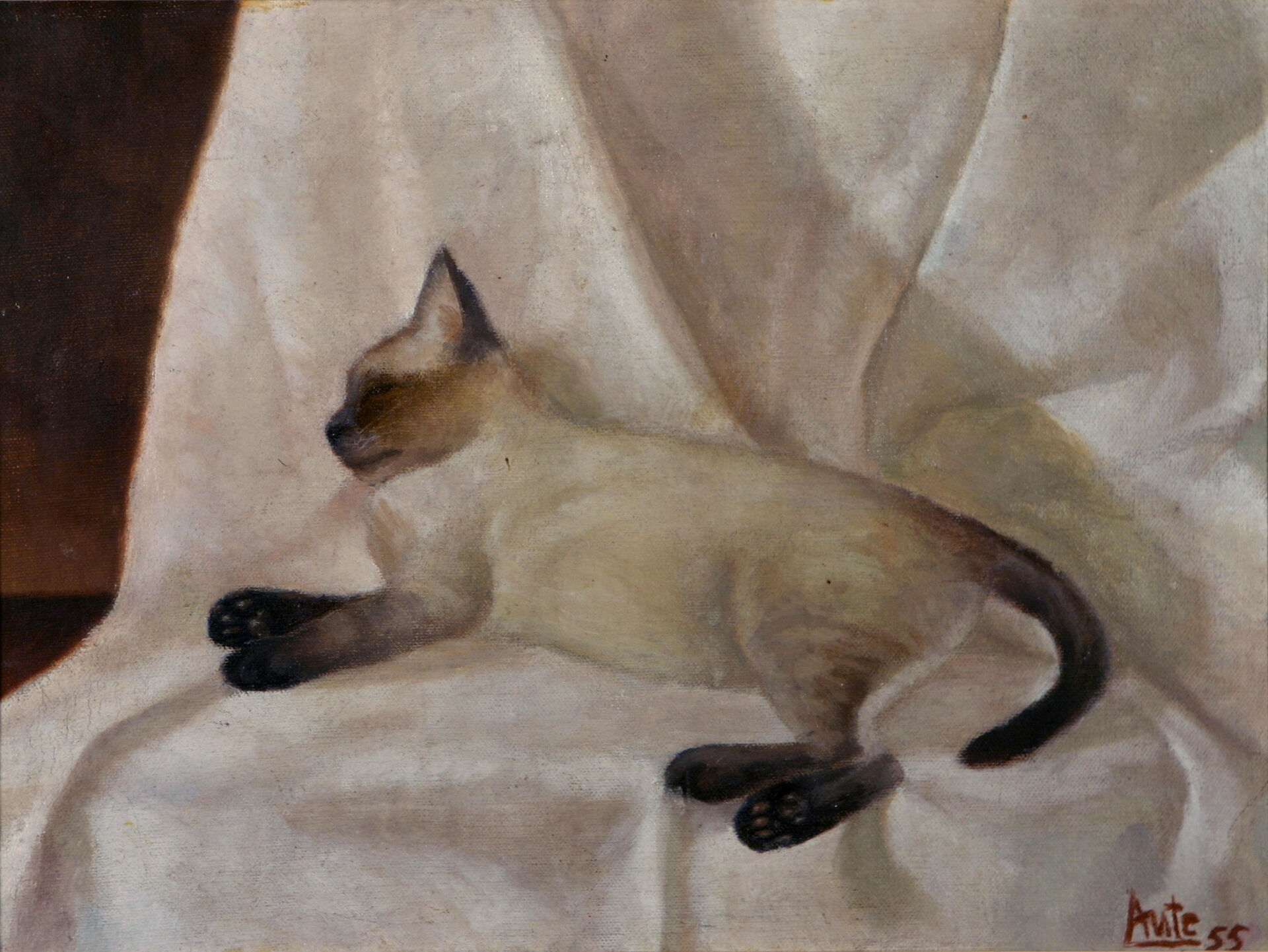 19-1955 Desiré
