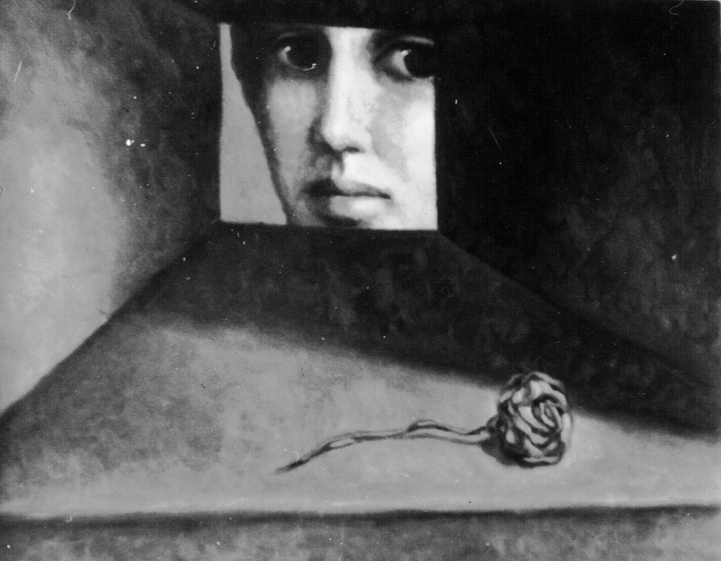 Rosa mirándose