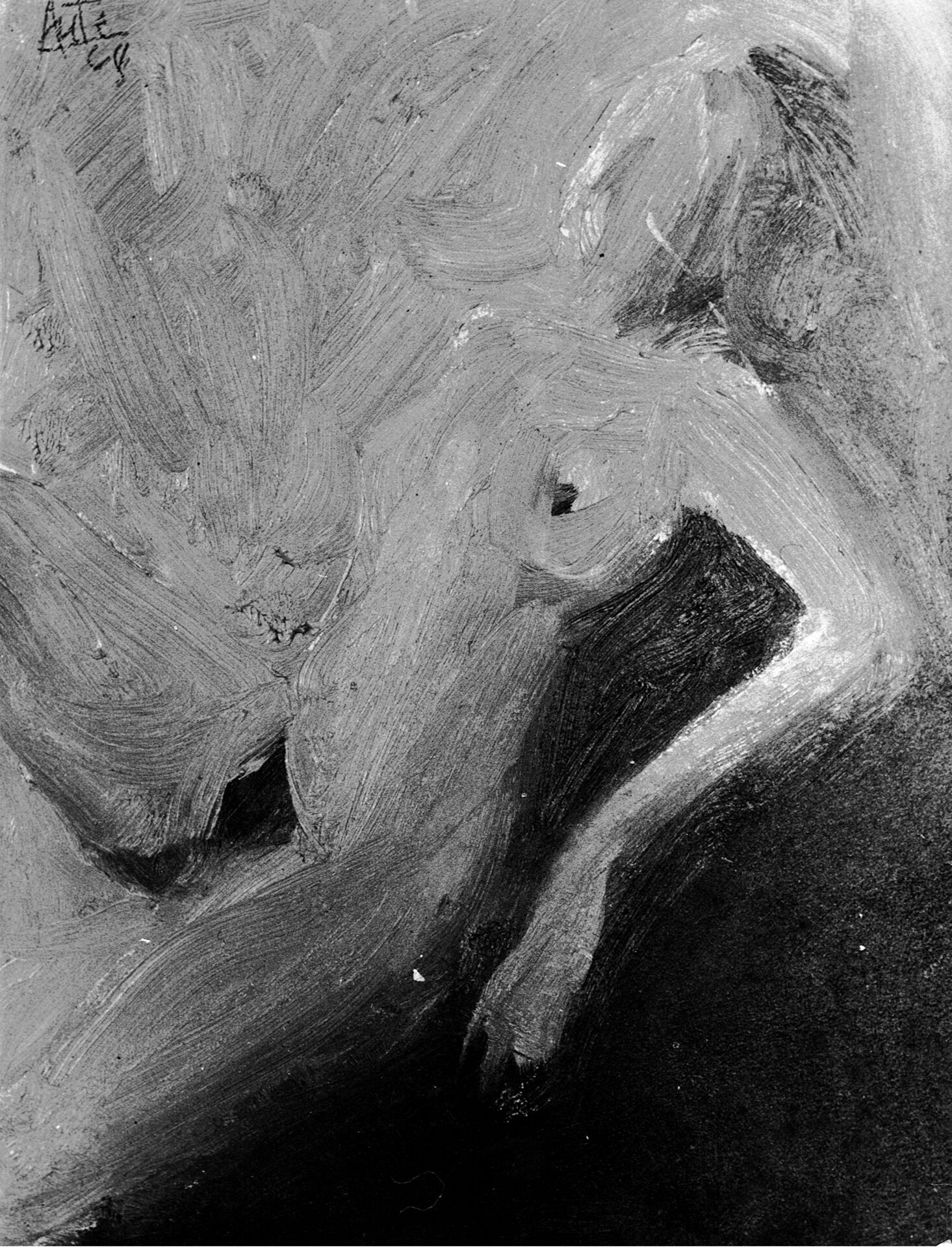Desnudo
